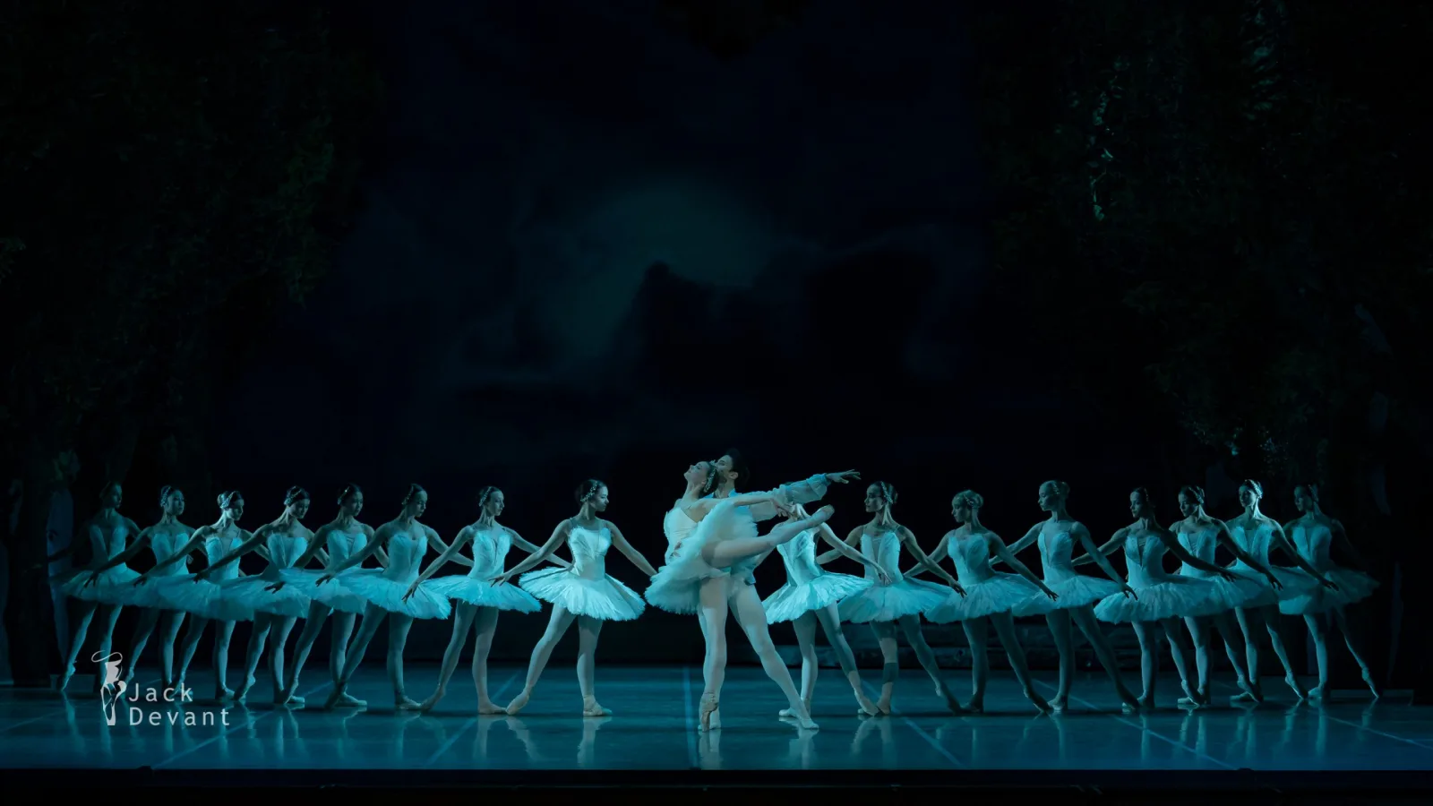 Kealan McLaughlin in Swan Lake — photo Jack Devant