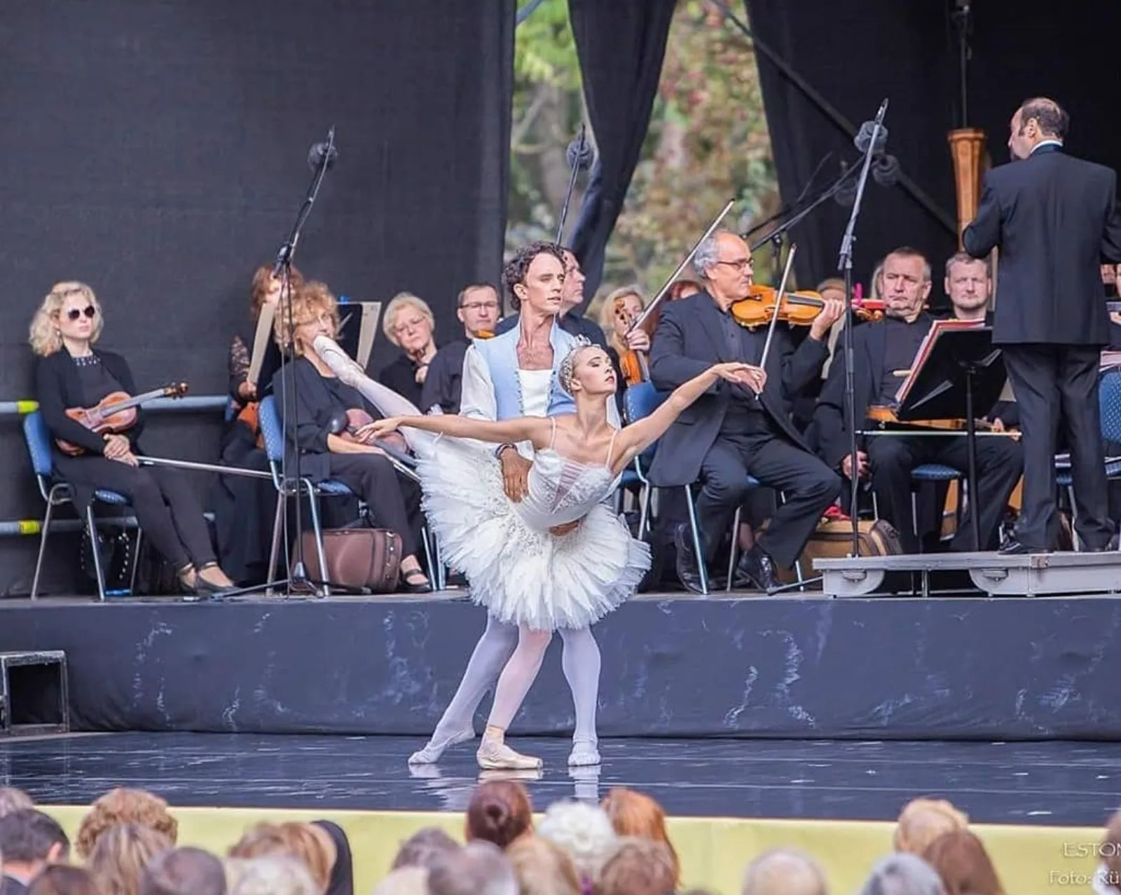 Kealan McLaughlin in Swan Lake
